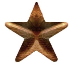 Bronze Star Medal Attachment