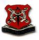 3rd Wing Insignia