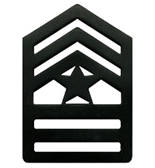 AR ROTC SR DIV SGT MAJ Insignia Pair