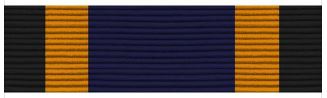 Air Force Max PFT Contract Ribbon #4036