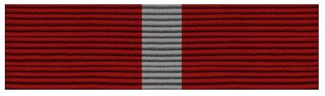 Best Drilled Cadet in the Major Unit Ribbon #1346
