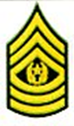 CMD Sergeant Major Insignia Pair