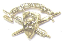 Left Corps Brass Insignia