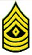 First Sergeant Insignia Pair