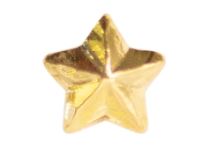 Gold Star Medal Attachment